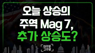 오늘 상승의 주역 mag7, 추가 상승도?ㅣ미주알GO주알 (24.12.24)