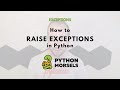 Throwing an exception in Python