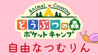 【浦島】久しぶりにポケ森で遊んでみたら戸惑った【思い出せ】