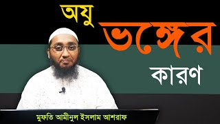 অযু ভঙ্গকারী বিষয়সমূহ। মুফতি আমীনুল ইসলাম আশরাফ