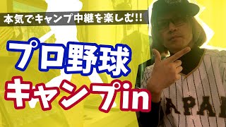 【キャンプ】【球春到来】【プロ野球】いよいよ12球団キャンプイン！徹底解説！むくろさんのみんななかよくプロ野球【素人解説】