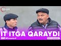 IT ITGA QARAYDI- SHO'RDANAK