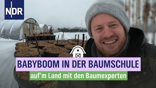 Uraltes Veredelungs-Handwerk: Jungbaum-Zucht in der Baumschule | Die  Baumexperten | Folge 5 | NDR