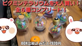 ピクミンテラリウムBOXを大人買い！コンプリート！！