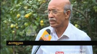 Kanthalloor fruits farming | കാന്തല്ലൂരിലെ മധുരക്കാഴ്ച