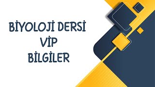 1. PROKARYOT - ÖKARYOT HÜCRELER- BİYOLOJİ VİP BİLGİLER  2022