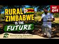 Why Rural Zimbabwe Is The Future For Diaspora Returnees