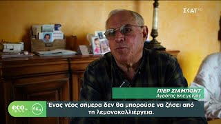 ECO NEWS BY ΔΕΗ | Εκτεταμένη δόμηση και κλιματική κρίση απειλούν τα λεμόνια της Μεντόν | 20/04/2024