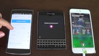 Voice Command Battle: BlackBerry Assistant vs Siri vs Google Now