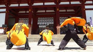 風神　2017バサラ祭り　東大寺会場　奉納演舞