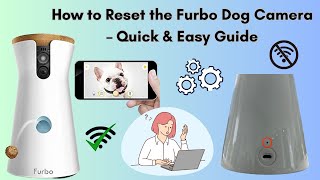 How to Reset the Furbo Dog Camera – Quick \u0026 Easy Guide