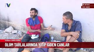 Ölüm tarlalarında yitip giden canlar