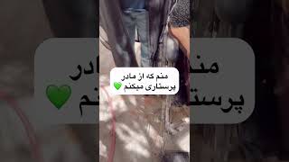 انشالله که بتونیم به کمک مردم قدمی واسه ایشون برداریم🙏❤️