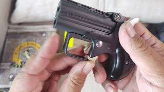 BEARMAN 380 DERRINGER