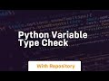 python variable type check