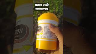 best maize insecticide मक्का के किडे के लिये रामबाण उपाय#farm #farming#maize#farmer#शॉर्ट्स#shorts