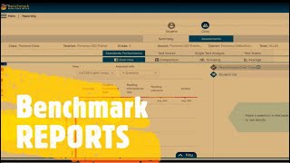 Batch Printing Reports in Benchmark Advance