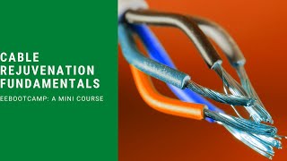 Power Distribution Cable Rejuvenation Fundamentals: A mini Lecture