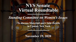 Roundtable Meeting: To discuss Maternal and Child Health in Upstate New York - 11/19/20
