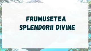 Frumusețea splendorii divine (Interpretarea)