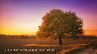 [ 2h Repeat ] 라흐마니노프( Rachmaninov)_파가니니 주제에 의한 랩소니 중 18번(Rhapsody on the Theme of Paganini, Op. 43)