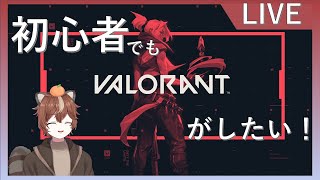 【VALORANT/雑談】初心者だけど雑談しながら勝ちたい！【新人Vtuber】