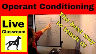 Operant Conditioning in Dog Training - How to understand it and TEACH it! (K9-1.com)
