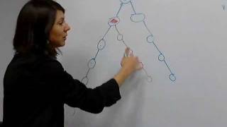 Vemma Placement Strategy - Binary Compensation Plan