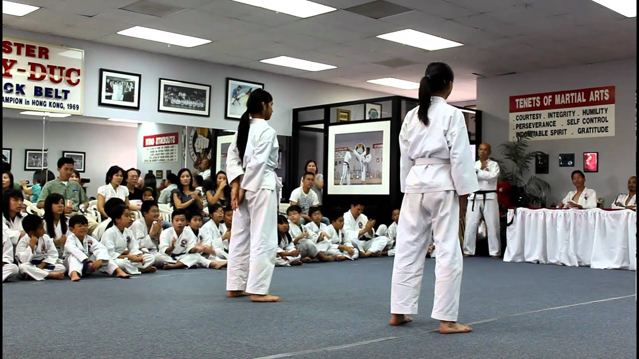 Tae Kwon-Do White Belt Test: Chon-Ji.MOV - YouTube