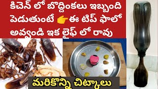 Kitchen tips /కిచెన్ లో బొద్దింకల బెడద ఎక్కువగా ఉందా !! మరి కొన్ని చిట్కాలు @SriluSmartSimple