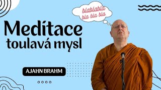 Meditace – jak na toulavou mysl🧘‍♀️| Ajahn Brahm | [české znění] | 15.11.2014