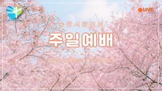 서광감리교회 12월 8일  주일 오전예배