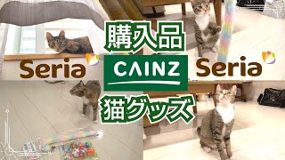 【購入品】おすすめ‼️CAINZとSeriaで猫グッズを買ってサンちゃんにプレゼントしました