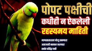 popat pakshi chi mahiti | पोपट पक्षी माहिती | popat pakshi vishay mahiti | popat pakshi | pakshi