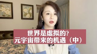 世界是虚拟的？元宇宙带来的机遇（中）