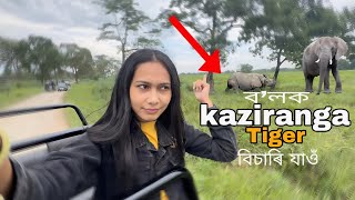 This is kaziranga National Park | Jeep Safari