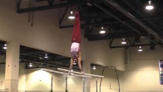Robert Neff - Parallel Bars - 2016 Winter Cup Prelims