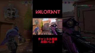 【VALORANT】ボイチャの裏ではきもい男