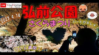 【父娘散歩】2023年4月14日　弘前公園　満開