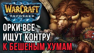 Орки все ищут контру к бешеному Альянсу: WSB (Hum) vs Yange (Orc) Warcraft 3 Reforged