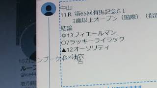 中山11Ｒ第65回有馬記念ＧⅠ3歳以上オープン（国際）（指定）定量