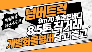 개별화물넘버가격과 화물차직거래 8.5톤 9m70 후축윙바디 출고