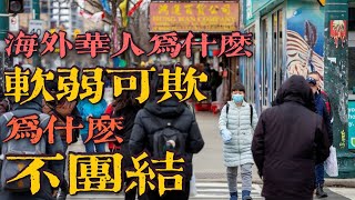 为什么海外华人的形象总是软弱可欺，海外华人真的软弱，不团结吗