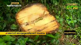 വയനാട് മുത്തങ്ങയില്‍ ചന്ദന മരം മോഷണം പോയി | Wayanad | Sandalwood