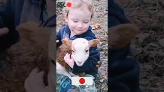 baby and goat baby love