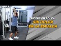 TRÍCEPS EN POLEA SIN DOLOR EN LA ESPALDA