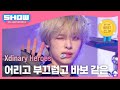 [최초 공개] 엑스디너리 히어로즈(Xdinary Heroes) - 어리고 부끄럽고 바보 같은 l Show Champion l EP.516 l 240501