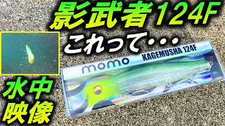 【カゲムシャ124F】カゲロウのパ○リ シーバスルアー ⁉水中映像 でアクション見てみた！momo KAGEMUSHA124F