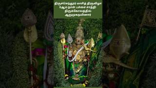 திருச்செந்தூர் சண்முகர் பச்சை சாத்தி திருக்கோலத்தில், மாசித்திருவிழா 8ஆம் நாள்