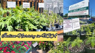 Indian Nursery in USA | Coppola’s Garden Center | Plant shopping in USA| Tamil vlogs